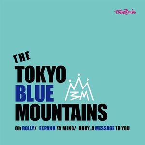 TOKYO BLUE MOUNTAINS 10inch Record